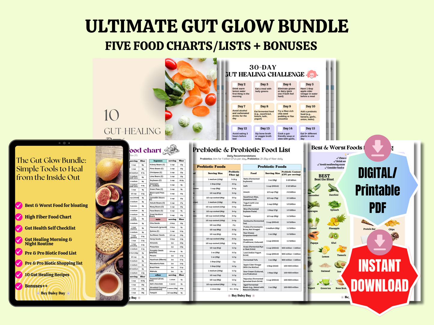 The Gut Glow Bundle: Simple Tools to Heal from the Inside Out