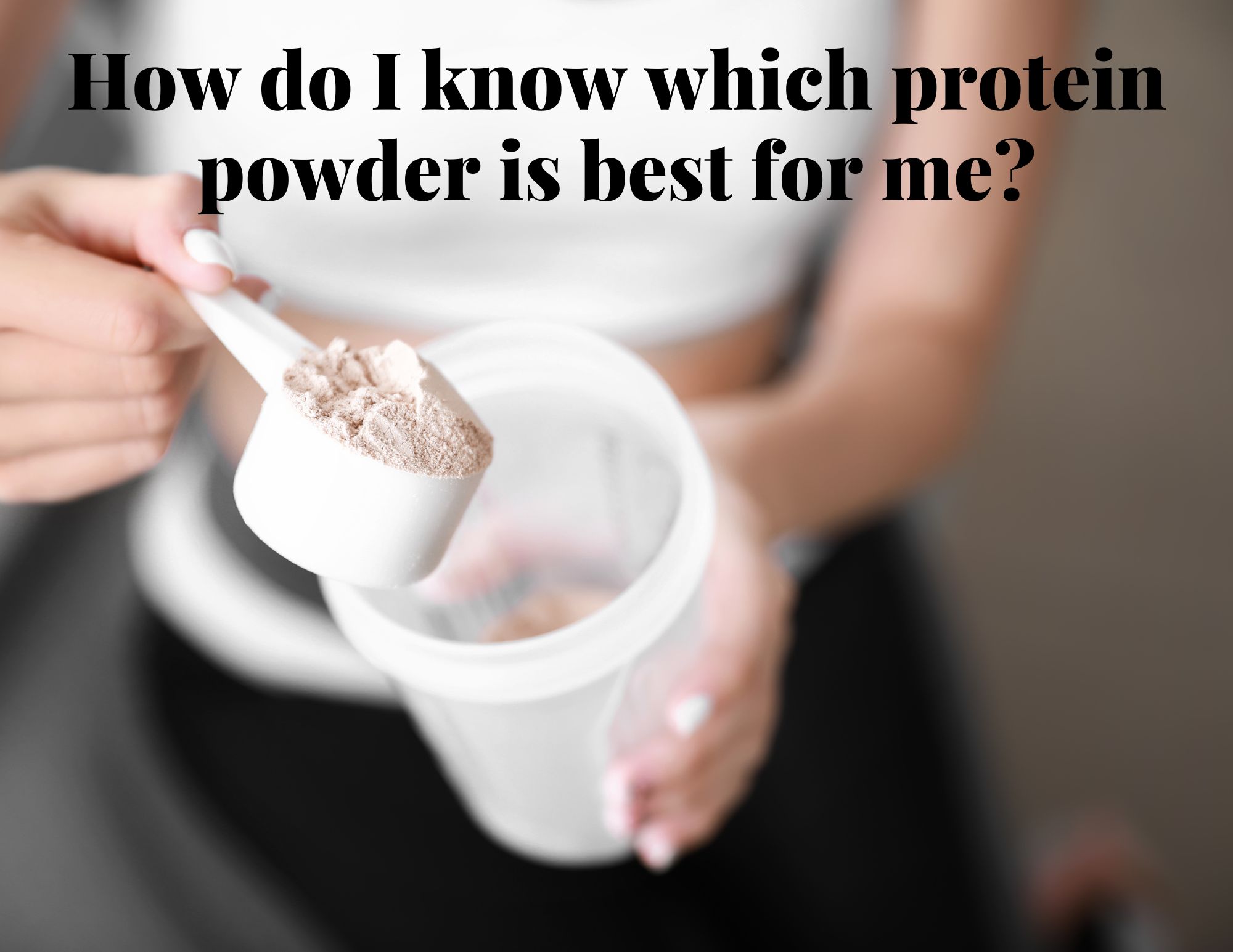 How to choose the best protein powder (2024 guide)